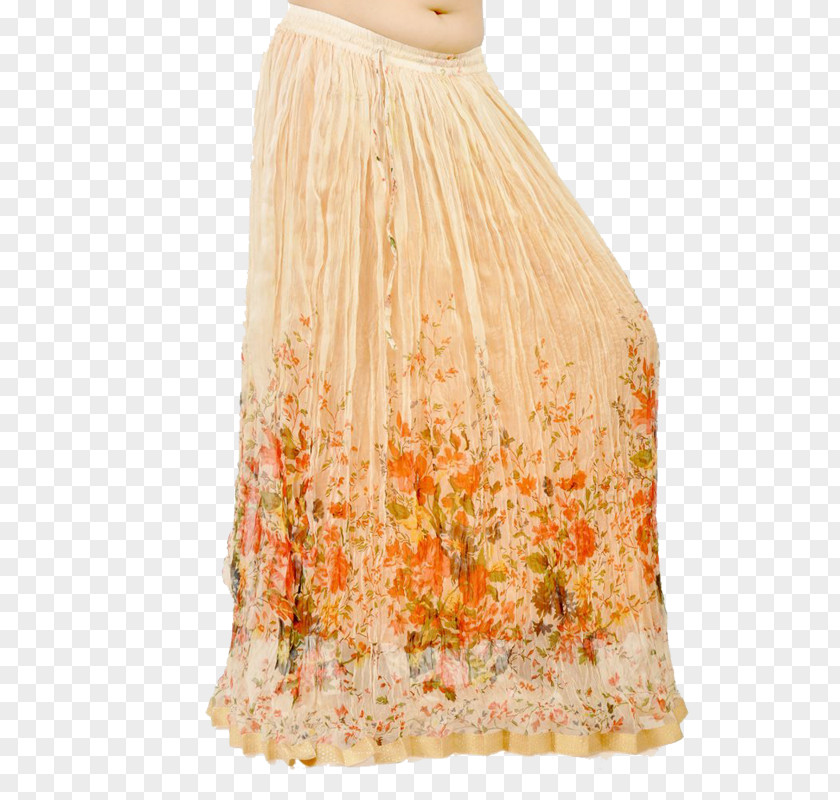 Dress Skirt Fashion Gown Top PNG