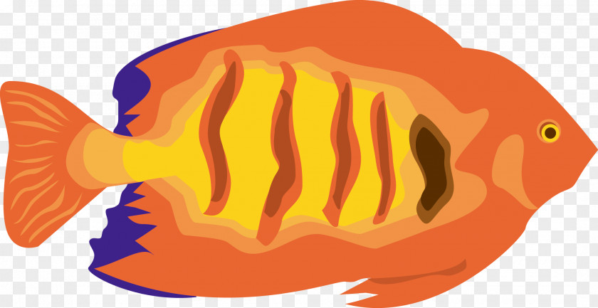 Fish,Vector PNG
