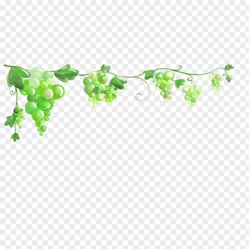 Grape Common Vine Desktop Wallpaper Image Clip Art PNG