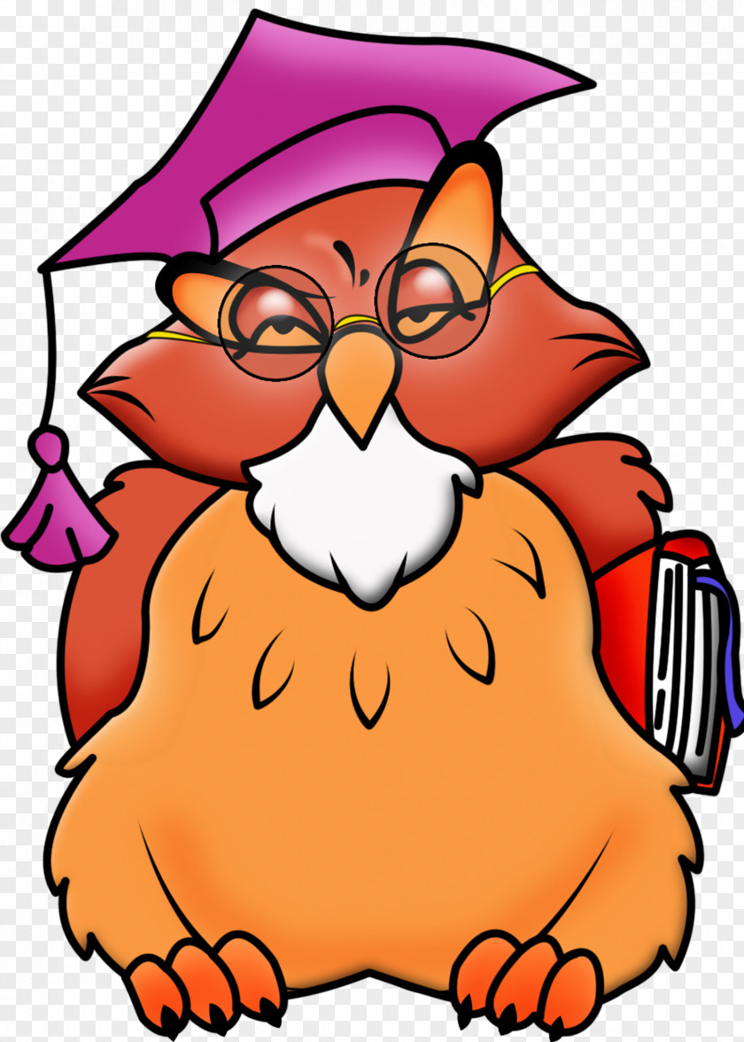 Owls Teacher School Cartoon Clip Art PNG