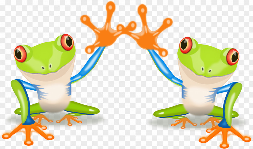 Happy Frog Red-eyed Tree Australian Green Clip Art PNG