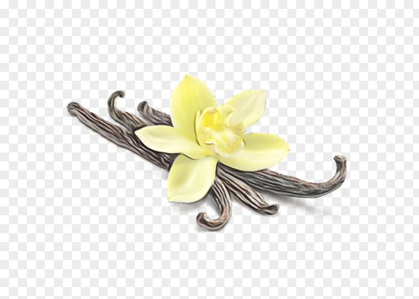 Lily Family Columbine Ice Cream Background PNG