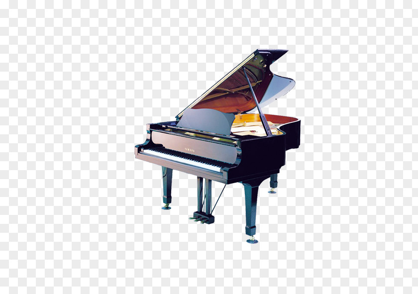 Piano Musical Keyboard Instrument Harpsichord PNG