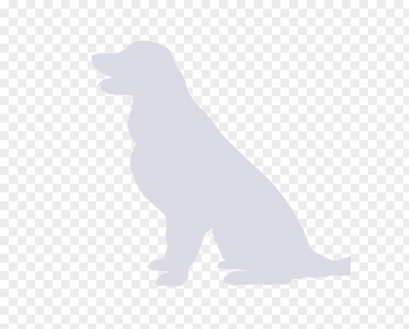 Puppy Dog Breed Retriever Sporting Group PNG