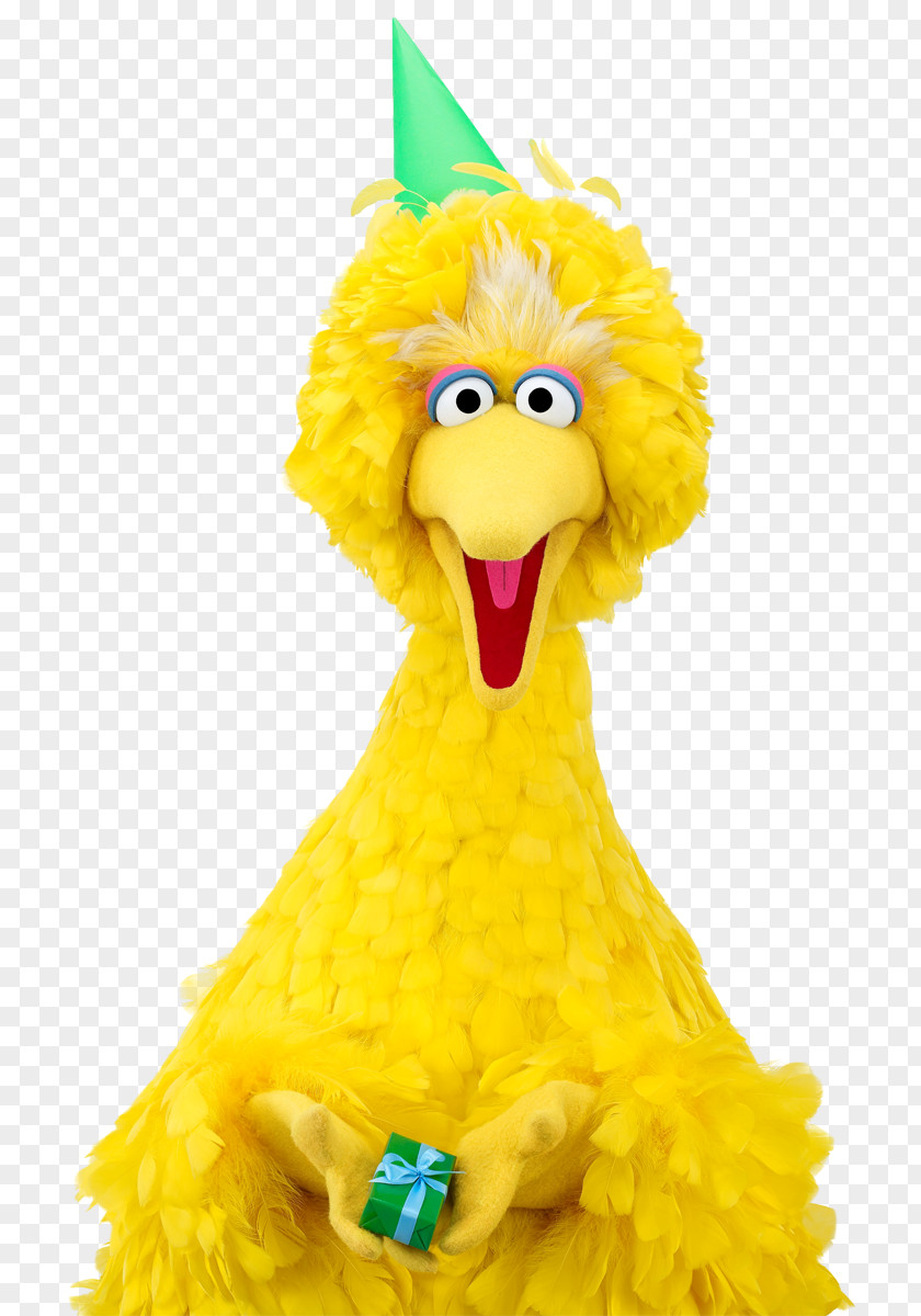 Sesame Big Bird Elmo Oscar The Grouch Ernie Abby Cadabby PNG
