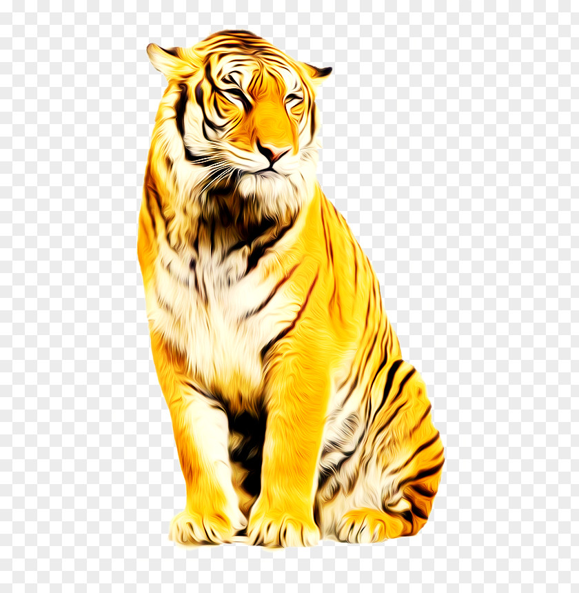 Tiger Animation PhotoScape PNG