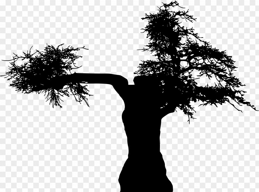 Trunk Blackandwhite Tree Branch Silhouette PNG