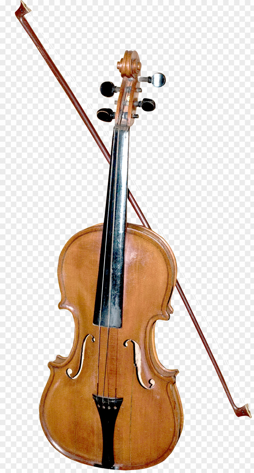 Beautiful Violin Bass Double Violone Viola PNG
