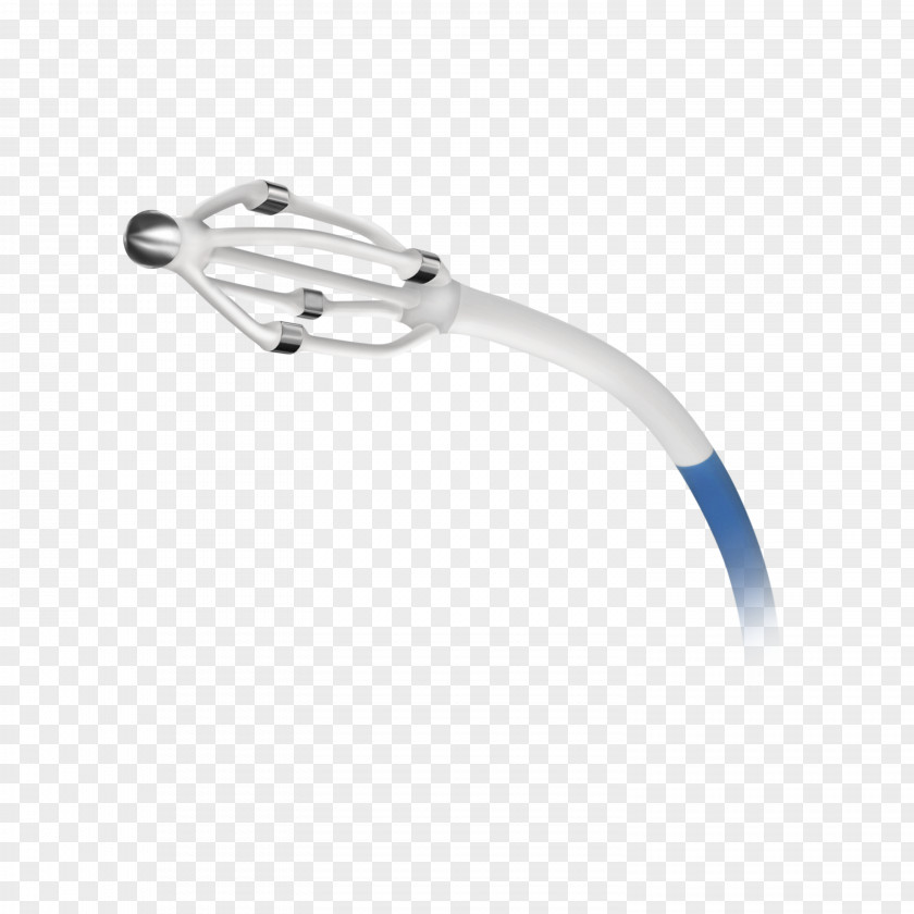 Catheter Renal Sympathetic Denervation Kidney Hypertension PNG Image ...