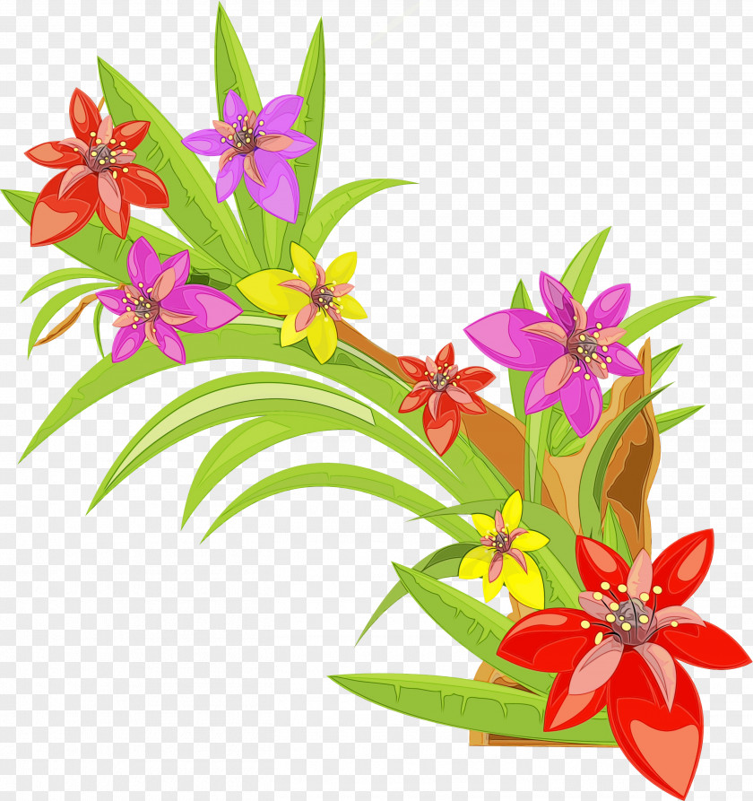 Cattleya Wildflower Lily Flower Cartoon PNG