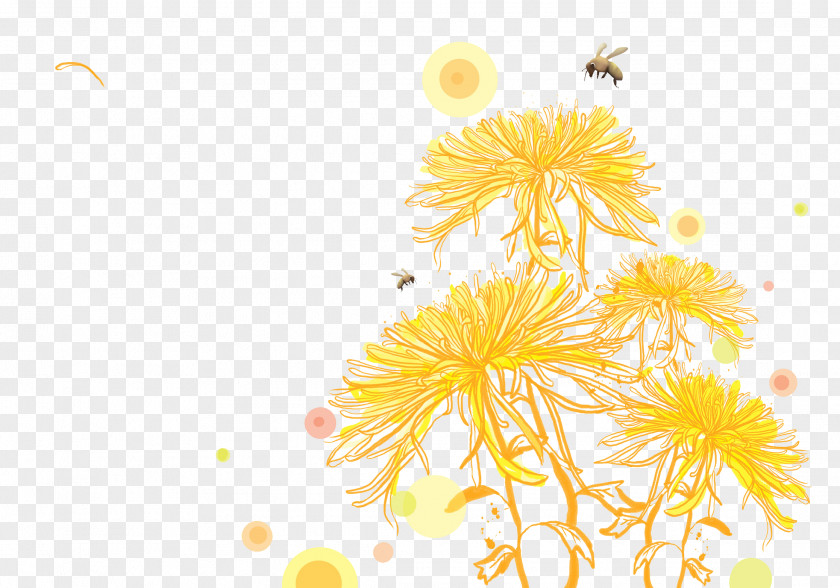 Chrysanthemum On The Bees Bee PNG