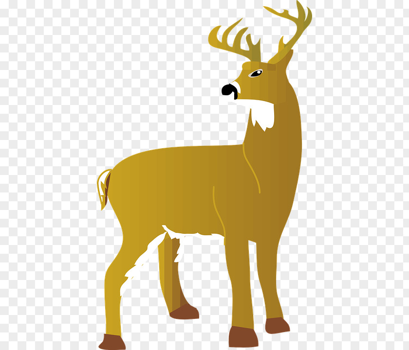 Deer The White-tailed Red Clip Art PNG