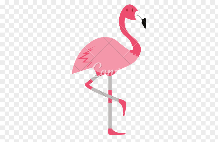 Flamingo Bird Desktop Wallpaper Clip Art PNG