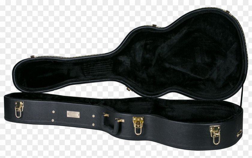 Guitar Resonator Twelve-string Acoustic Musical Instruments PNG