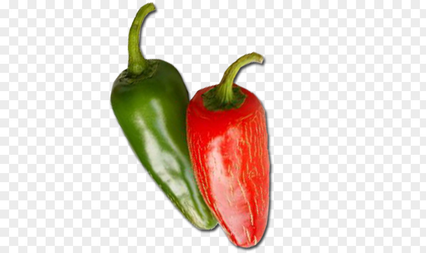 Jalapeno Pepper Png Seeds Habanero Serrano Bird's Eye Chili Mexican Cuisine Tabasco PNG
