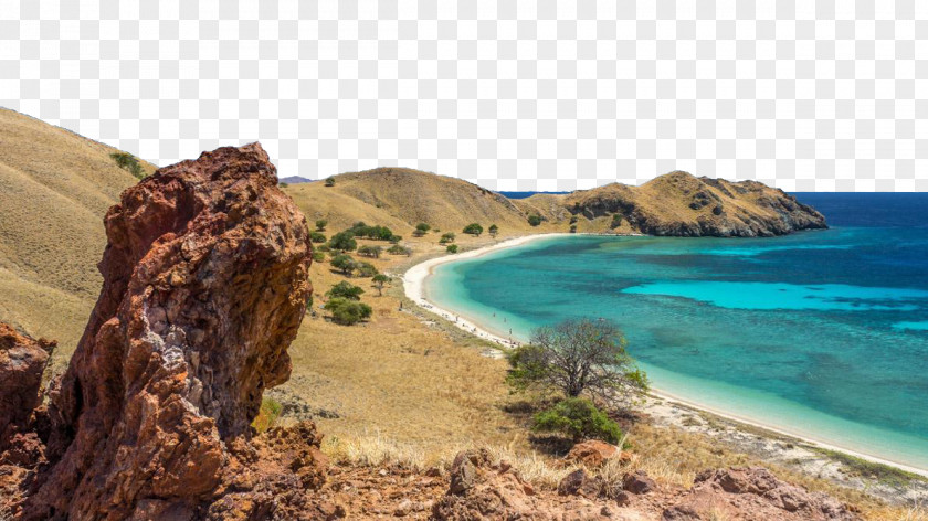 Komodo National Park Labuan Bajo Sumbawa Beijing World PNG