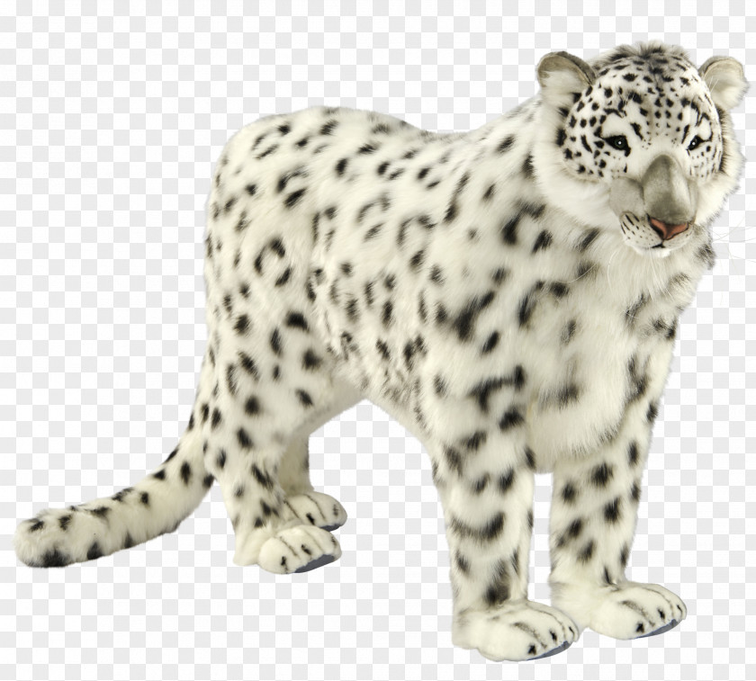 Leopard Snow Cheetah Jaguar Carnivora PNG