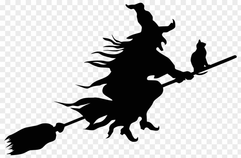 Witch Cat Flying Witchcraft Broom Clip Art Vector Graphics PNG