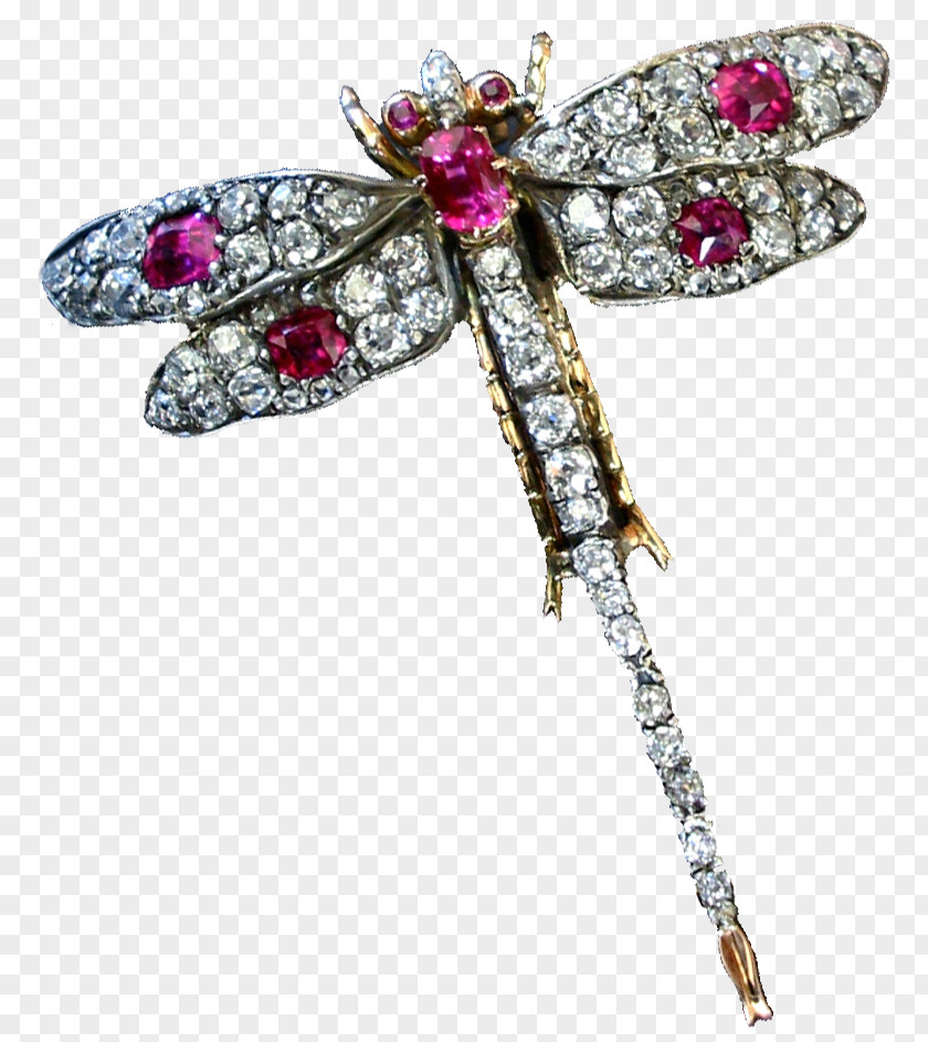 Dragonfly Jewelry Insect Jewellery Brooch Clip Art PNG