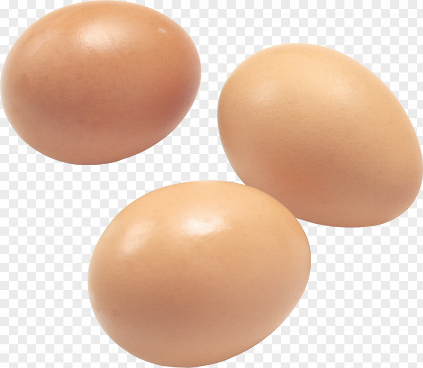 Eggs Image Chicken Egg Roll Foo Young White PNG