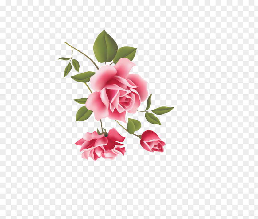 Rose Beach Pink Flower PNG