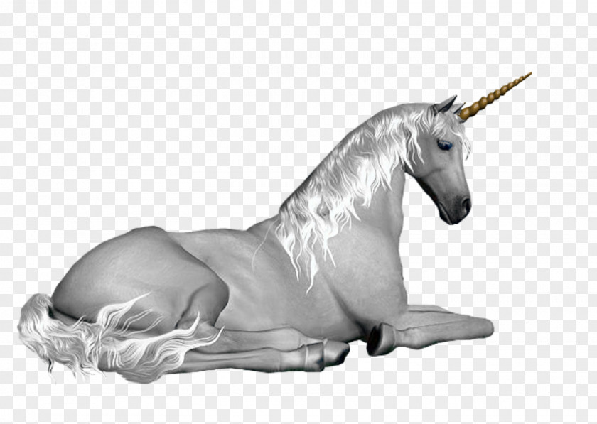 Unicorn GIF Horse Image Clip Art PNG