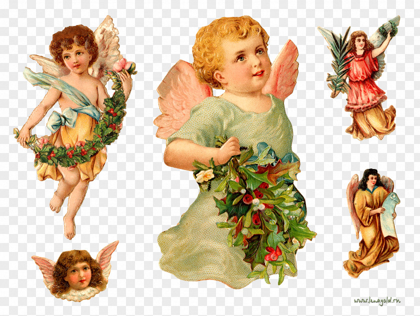 Angel Photographic Printing Clip Art PNG
