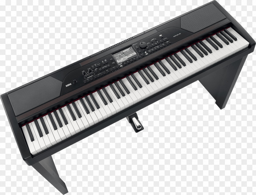 Keyboard KORG Havian 30 Digital Piano Electric PNG