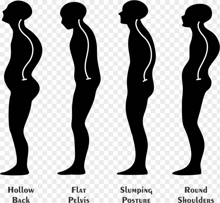 Neutral Spine Poor Posture Physical Therapy Human Body PNG