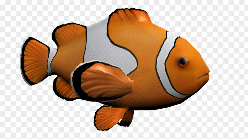 Nemo House Of Science Computer Graphics Clip Art PNG