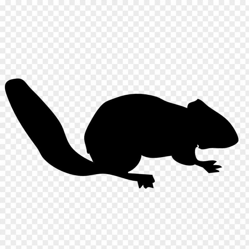 Squirrel Chipmunk Animal Silhouettes Rodent Clip Art PNG