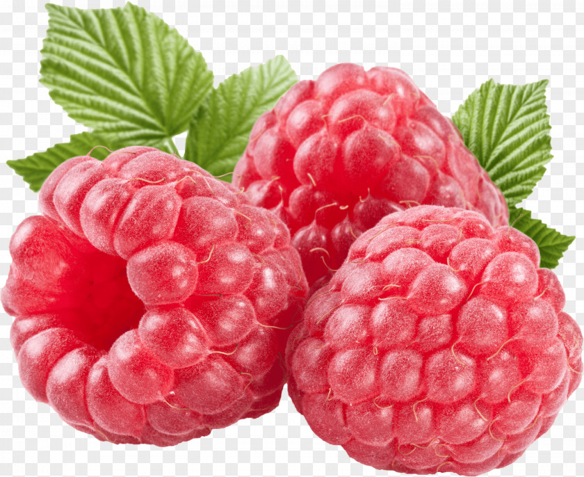 Three Large Raspberries PNG Raspberries, three red raspberry fruits illustration clipart PNG