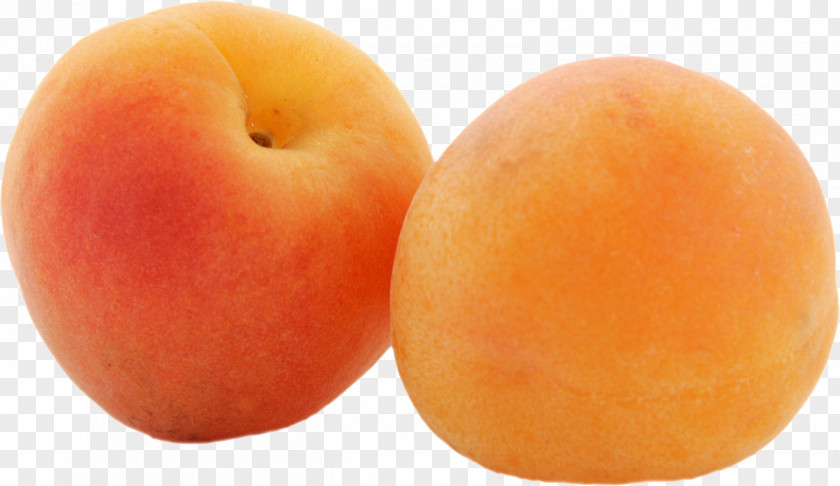 Apricot Kiwifruit PNG