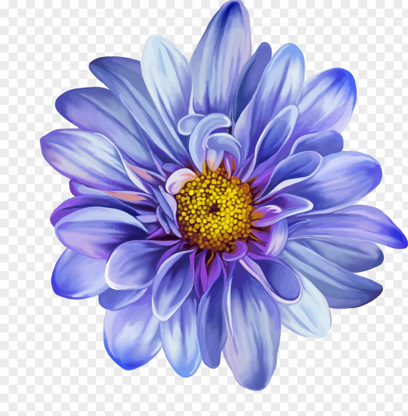 Blue Flower Drawing Rose Clip Art PNG