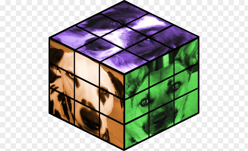 Cube Cats Rubik's Puzzle Game PNG
