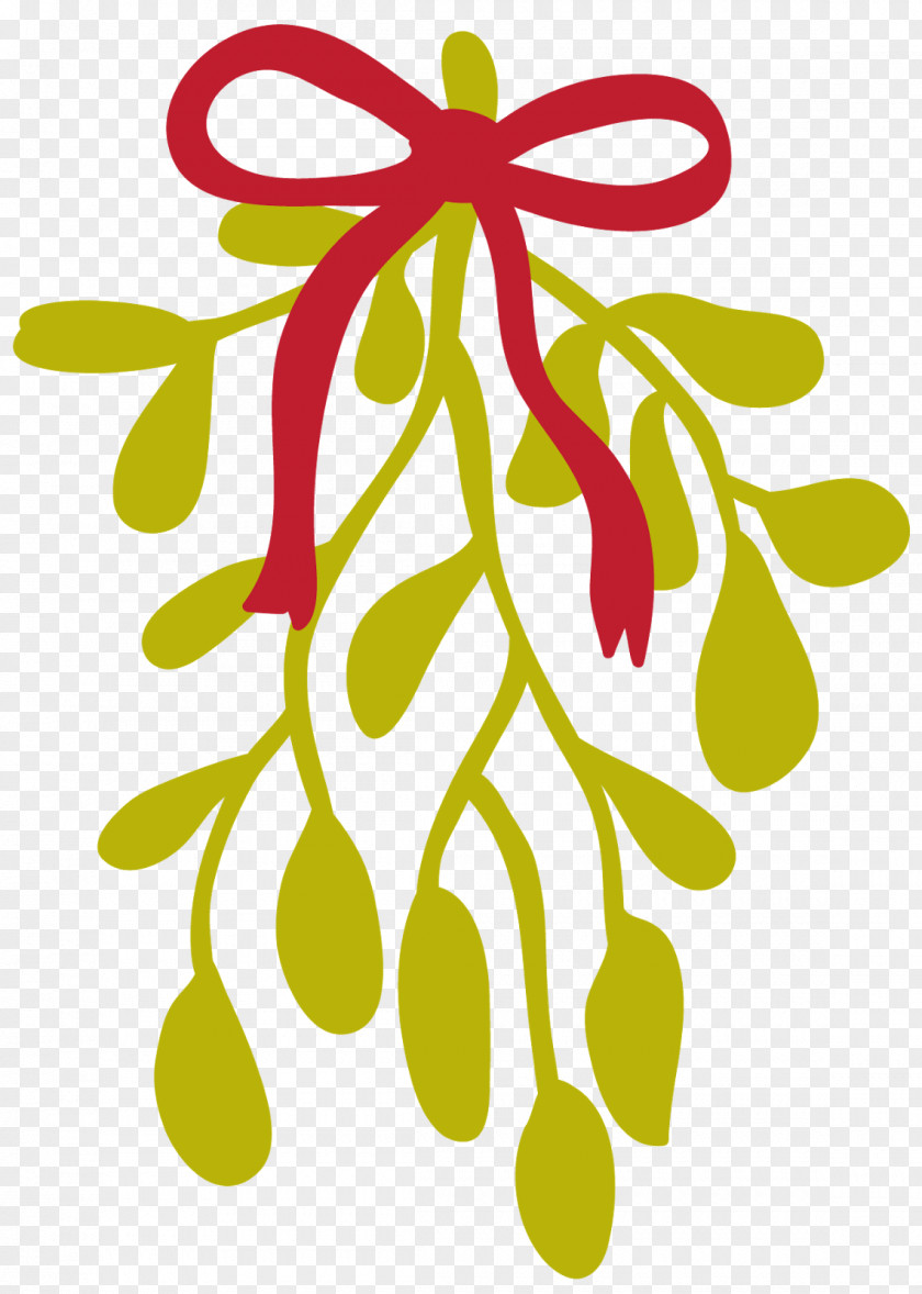 December Clipart Mistletoe Common Holly Leaf Clip Art PNG