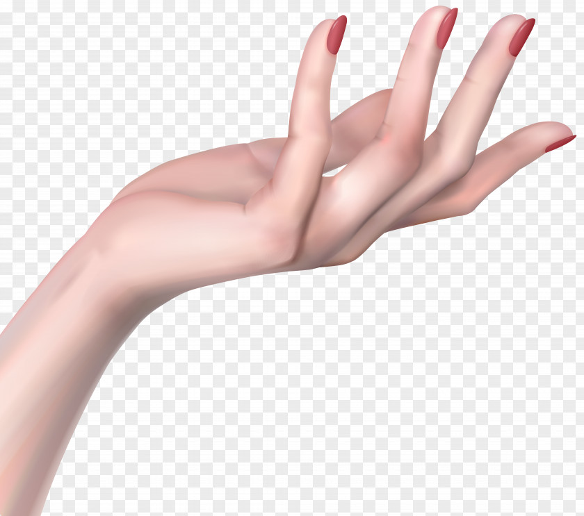 Hands Hand Woman Clip Art PNG