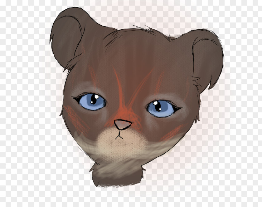 Kitten Whiskers Snout Paw Eye PNG