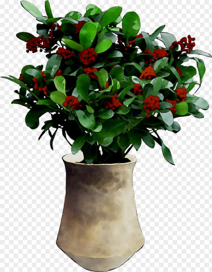 Lingonberry Flowerpot Shrub Houseplant Tree PNG