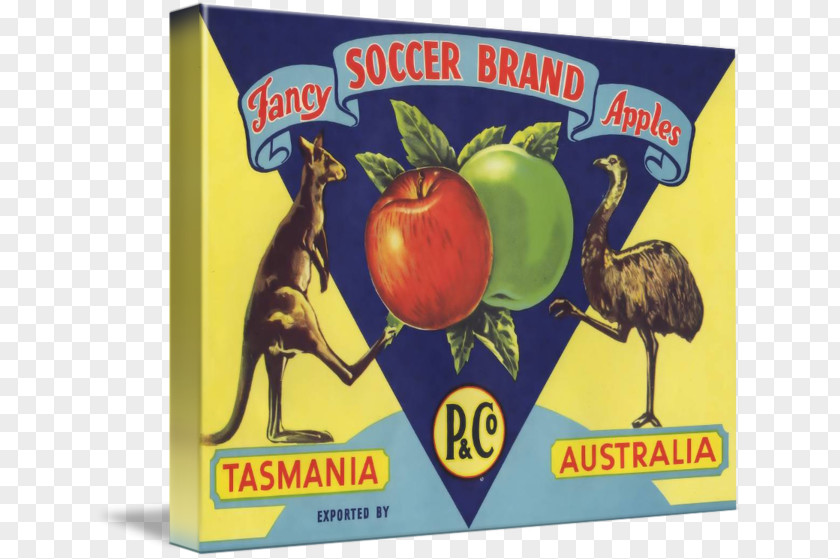 Australia SOCCER Mixed Media Work Of Art National Football Team Fine PNG