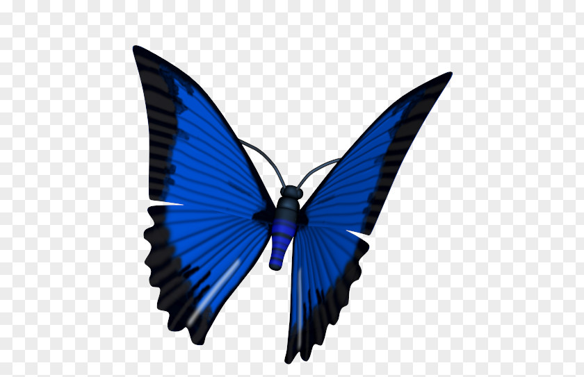 Butterfly Brush-footed Butterflies Animated Film 3D Computer Graphics Animation PNG