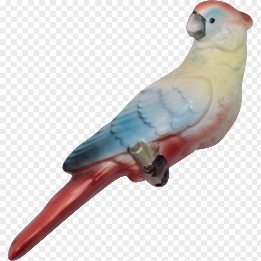 Cockatoo Budgerigar Parrot Lovebird Parakeet PNG