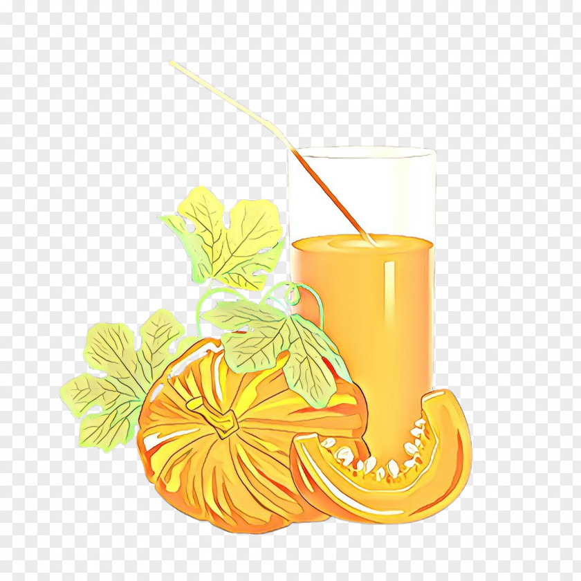 Cocktail Garnish Smoothie Orange PNG