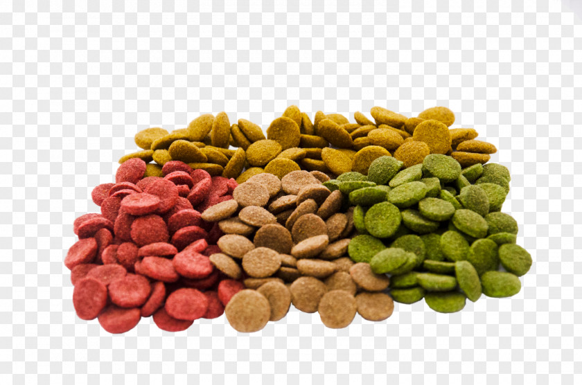 Dog Food Coloring Snack Mixed Nuts Pistachio PNG