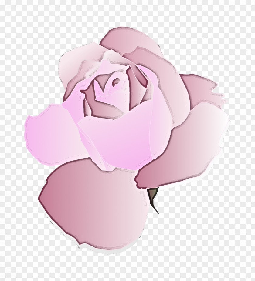 Garden Roses PNG