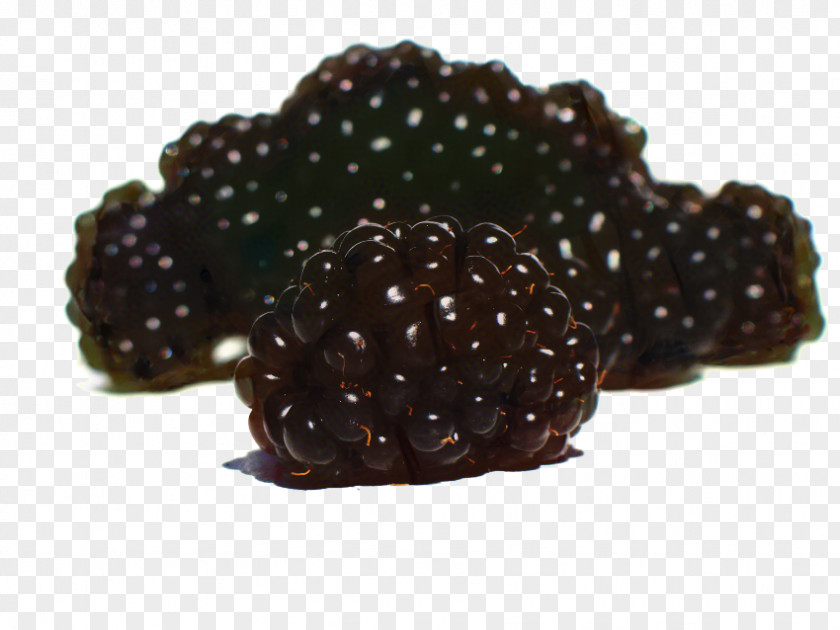 Loganberry Plant Fruit Cartoon PNG