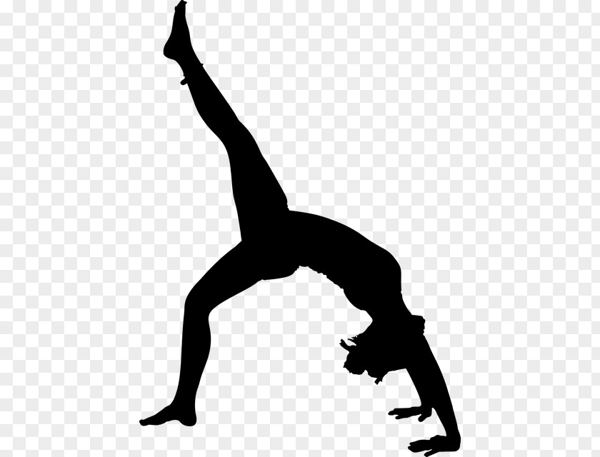 Yoga Silhouette Physical Fitness Exercise PNG