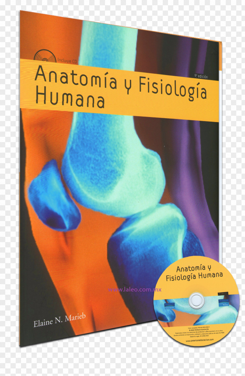 Book Anatomía Y Fisiología Humana (e-book) Anatomia Fisiologia Anatomy Human Physiology PNG