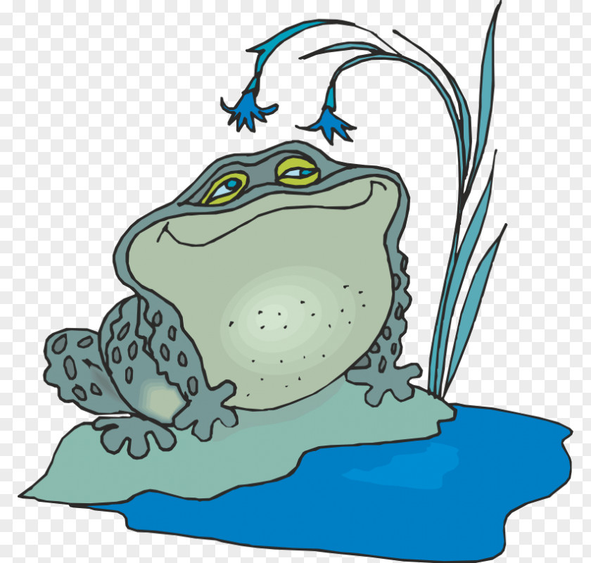 Frog Toad Frogs Matter Windows Metafile Clip Art PNG