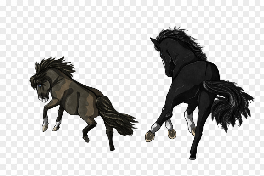 Mustang Stallion Halter Pack Animal Freikörperkultur PNG